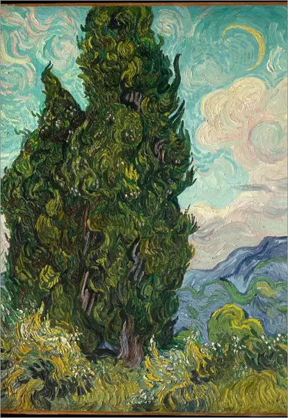 Cypresses 1889 Vincent van Gogh