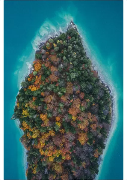 Autumn tree colours at edge of lake Walchensee island, Germany