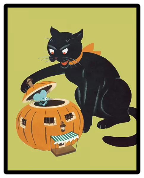 Black cat. http: /  / csaimages.com / images / istockprofile / csa_vector_dsp.jpg