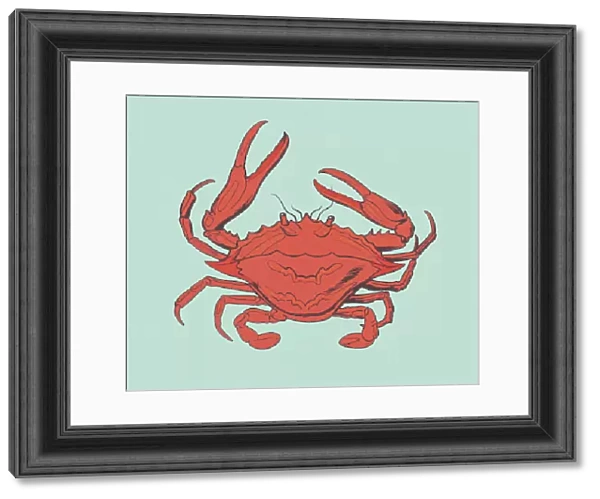 Red Crab. http: /  / csaimages.com / images / istockprofile / csa_vector_dsp.jpg
