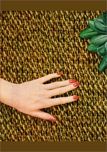 Hand of a Woman