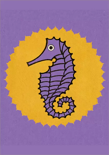 Seahorse. http: /  / csaimages.com / images / istockprofile / csa_vector_dsp.jpg