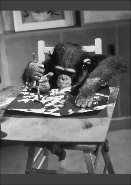 Artist Chimp At Work