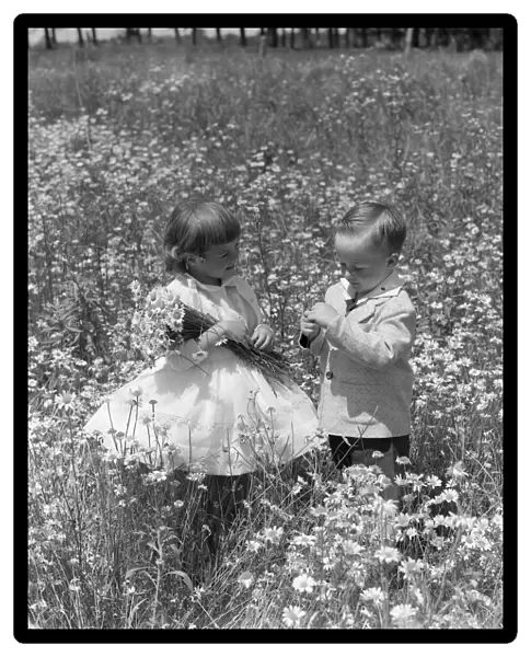 Toddlers In Field Of Daisies. They Wear Fancy Clothes Dress And Suit
