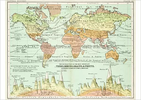 Agricultural Map of the world 1861