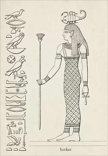 Ancient egyptian hieroglyph of Serket goddess of fertility