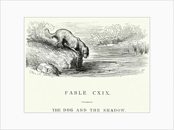 La Fontaines Fables - Dog and the Shadow