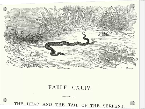 La Fontaines Fables - Head and Tail of the Serpent