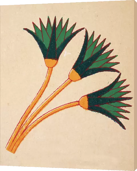 Ancient Egyptian decorative art, True Lotus flower