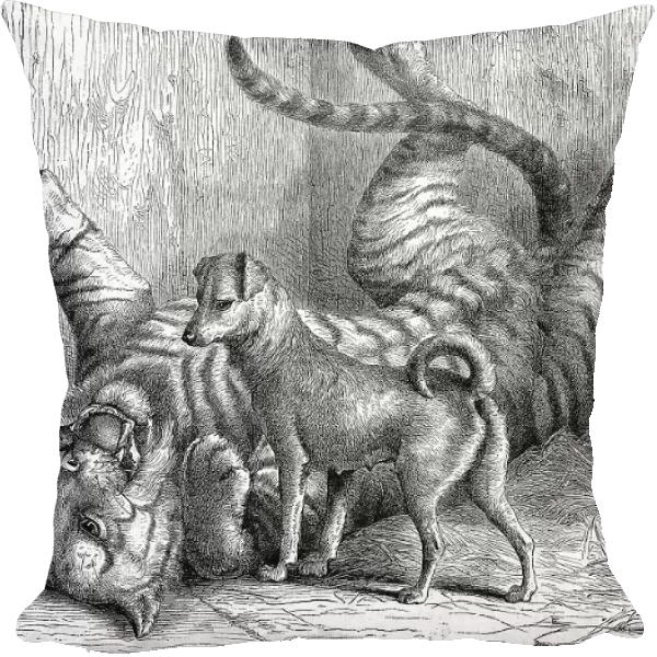 A small dog plays with a young tiger with whom he grew up together, in the zoo of Cologne, 1869, Germany, Historic, digitally restored reproduction of an original 19th century painting, exact original date unknown