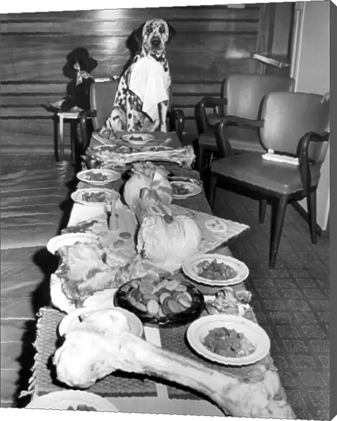 A Dogs Dinner, 19th August 1963 In honour of his first birthday, dalmation Shawclough