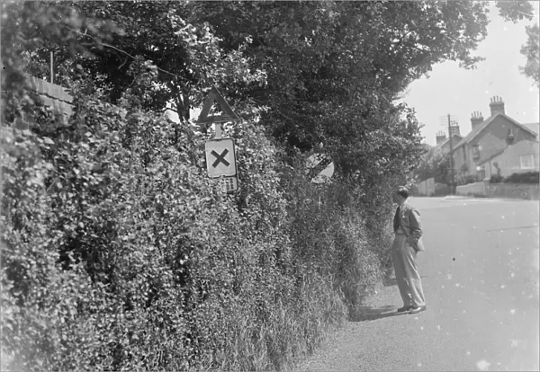 Road signs obscured by the over grown hedges in Farningham, Kent. 1937