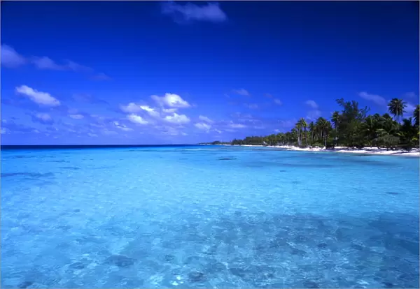 Tropical Islands - Morea Tahiti