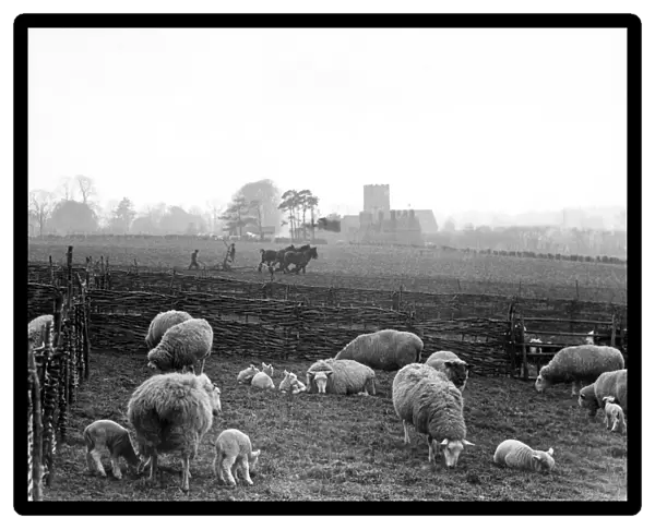 Farm scene in Kent in the early spring. Between the wars