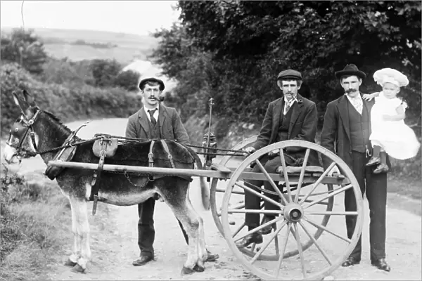 Donkey shay with E. J. Hampton and others in Calloose Lane, Leedstown, Crowan, near Hayle, Cornwall. 1903-1904