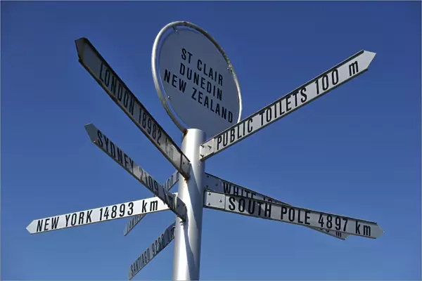 New Zealand-Travel-Signs-Feature