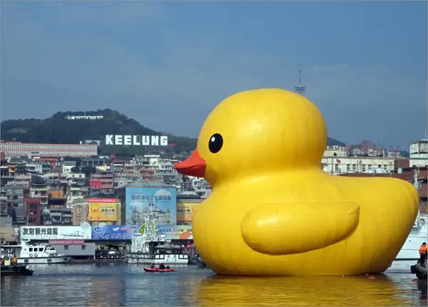 Bath Toy Duck Replica Taiwan
