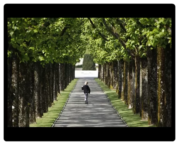 This photo taken on May 1, 2014, shows a young boy walking on a path lined with trees