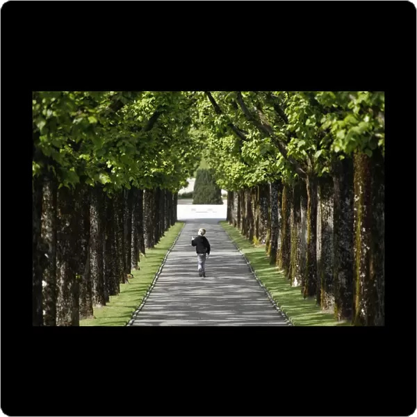 This photo taken on May 1, 2014, shows a young boy walking on a path lined with trees