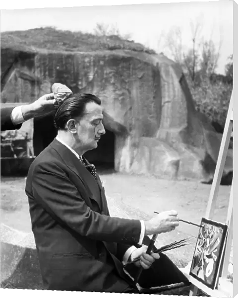 Dali Painting, Vincennes Zoo