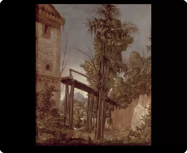 Landscape with a Footbridge, c. 1518-20 (oil on panel)
