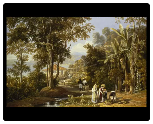 Garden Scene on the Braganza Shore, Rio de Janeiro, 1827