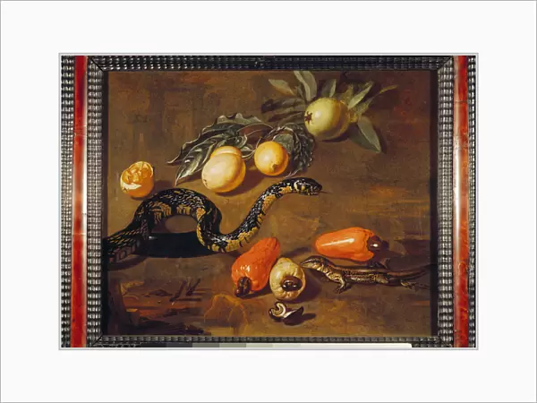 Still Life of Fruits from Surinam and Reptiles (oil on canvas)