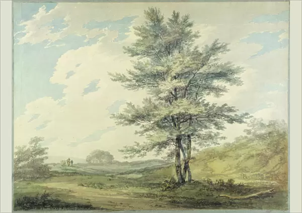 Landscape with Trees and Figures, c. 1796 (w  /  c over graphite on paper)