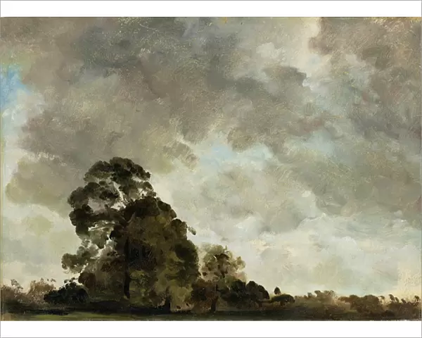 Landscape at Hampstead, Tree and Storm Clouds, c. 1821 (oil on paper laid down on panel)