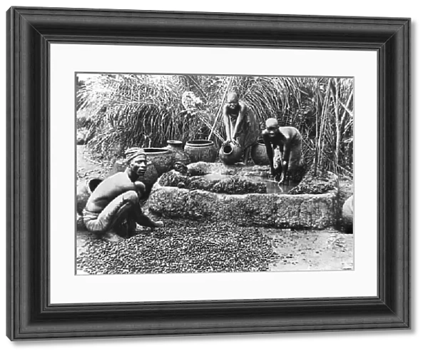 Making palm oil in Dahomey, c. 1900 (b  /  w photo)