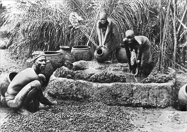 Making palm oil in Dahomey, c. 1900 (b  /  w photo)