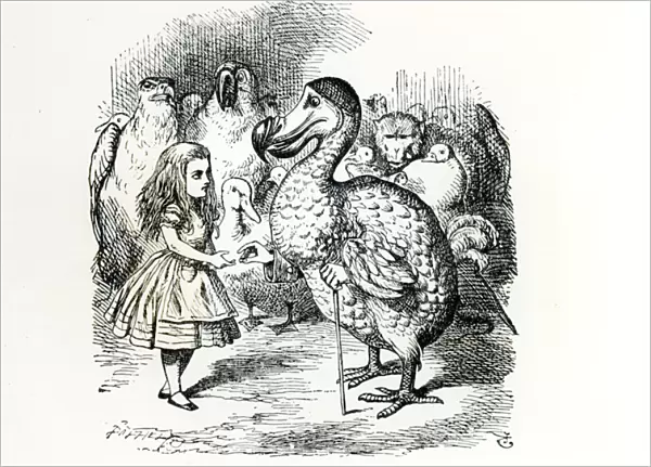 Alice meets the Dodo, illustration from Alices Adventures in Wonderland