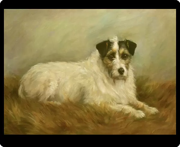 Terrier. BAL12487 Terrier by Hastings, Mabel 