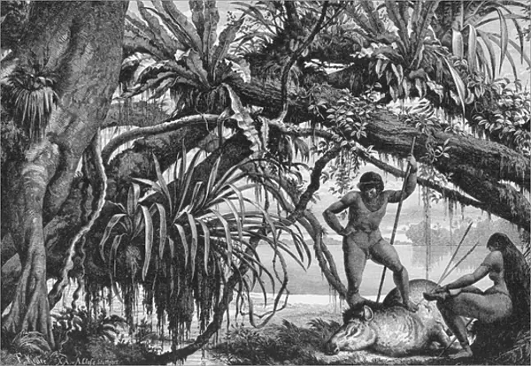 Caripuna Indians with tapir, from The Amazon and Madeira Rivers, by Franz Keller