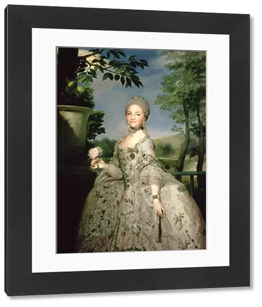 Portrait of Marie-Louise of Bourbon (1751-1819) (oil on canvas)