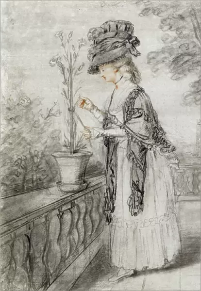 Lady on a Terrace Tending a Carnation Plant (black, red and white chalk on paper)