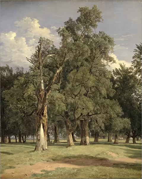 Elm trees in Prater, 1831 (oil on panel)