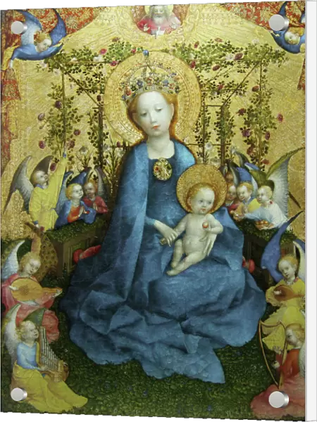 The Virgin of the Rose Bush (oil on panel)