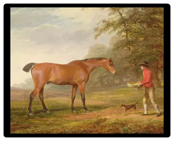A Bay Horse Approached by a Stable-lad with Food and a Halter, 1789 (oil on canvas)