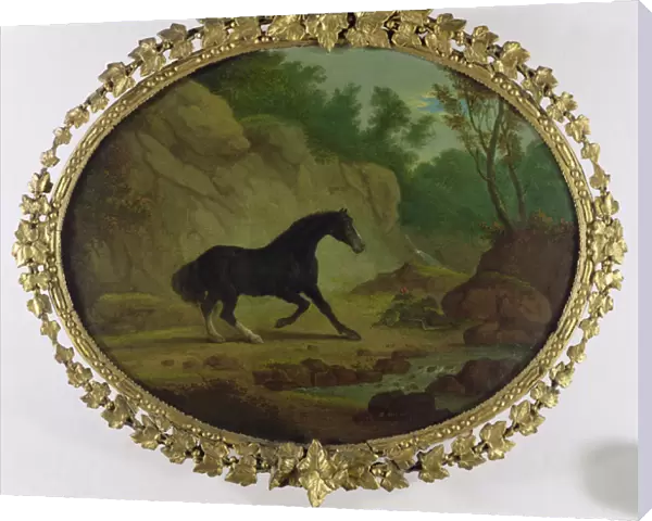 A Horse Frightened by a Snake, 1792 (oil on canvas)