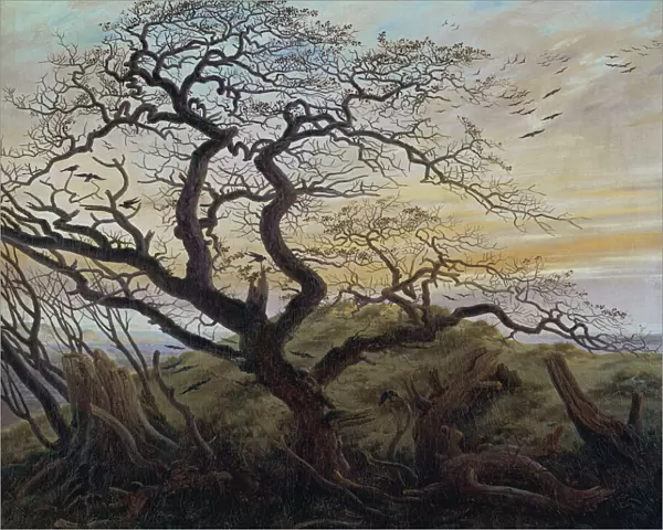 The Tree of Crows, 1822 (oil on canvas)