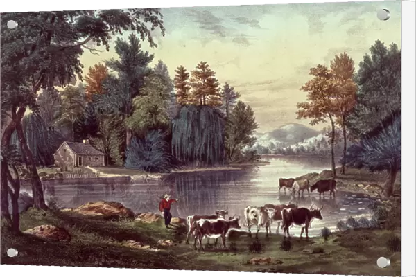 Cows on the Shore of a Lake, published by Nathaniel Currier (1813-88) and James Merritt Ives