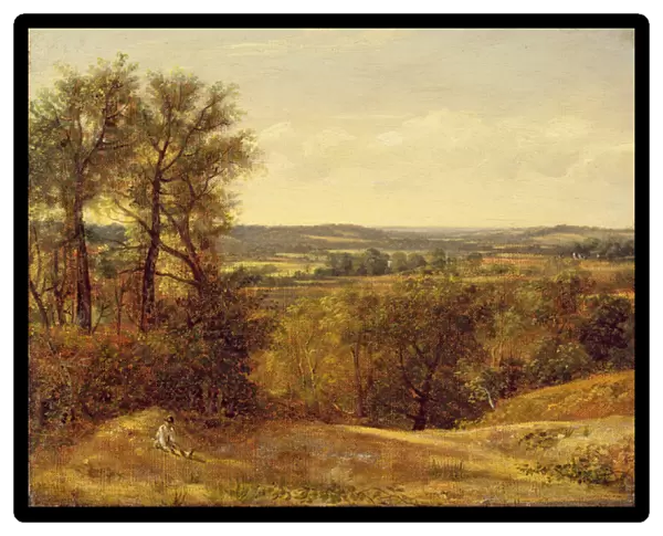 Dedham Vale, c. 1802 (oil on canvas)