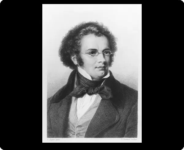 Portrait of Franz Schubert (1797-1828) engraved by H. Roemer (engraving) (b  /  w photo)