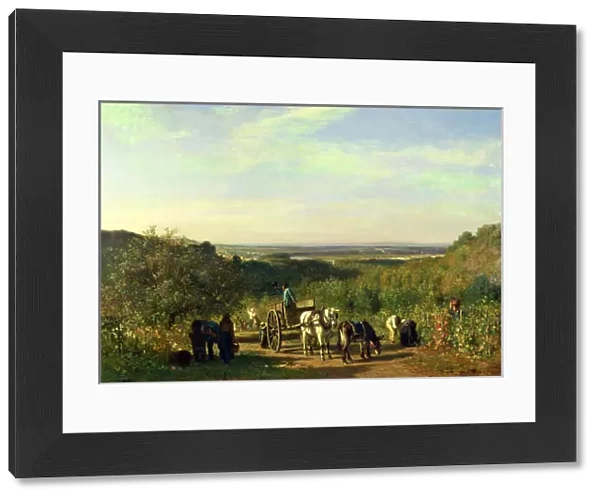 View from the Hilltops of Suresnes or, The Grape Harvest at Suresnes (oil on canvas)