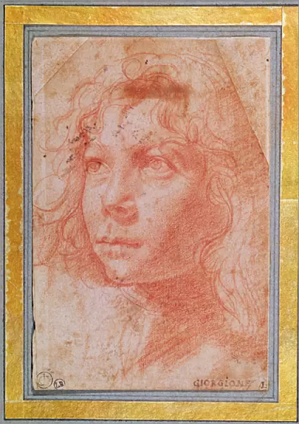 Head of a young boy turned to the left (red chalk on paper)