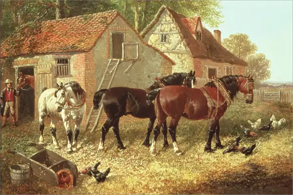 Preparing the Plough Horses