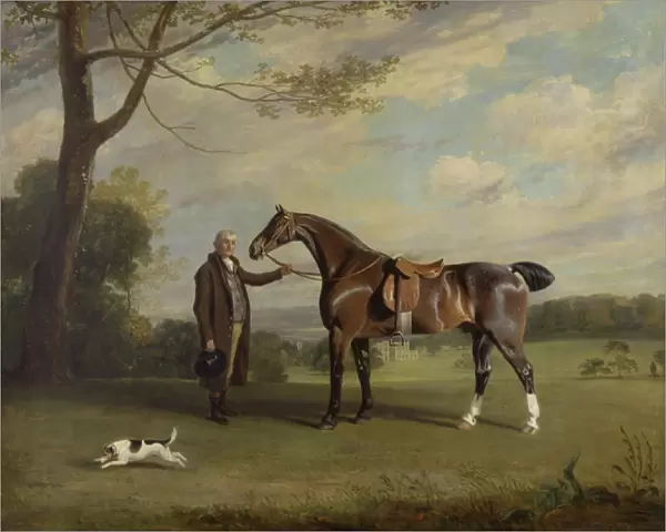 The Earl of Shrewsburys Groom Holding a Hunter, c. 1800 (oil on canvas)