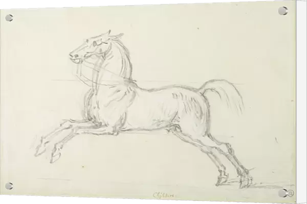 Flying Childers galloping to left: bridled but not saddled (black chalk