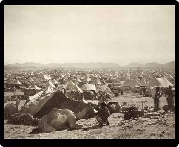 Pilgrim Camp in the plain east of Mount Arafah, 1889 (albumen print)